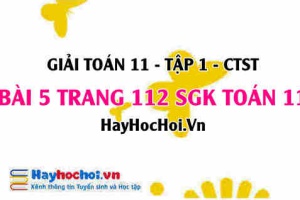 Giải bài 5 trang 112 Toán 11 tập 1 SGK Chân trời sáng tạo